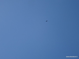 nte Scuderi-05-09-2020 10